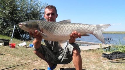carpbook